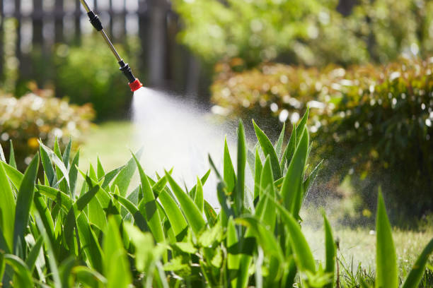 24/7 Emergency Ant Control experts in Rossville, IL