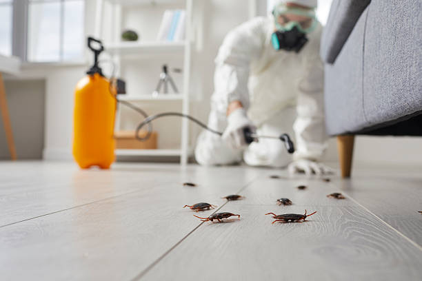 Trusted Cockroach Control service in Rossville, IL - Nex Pest Control