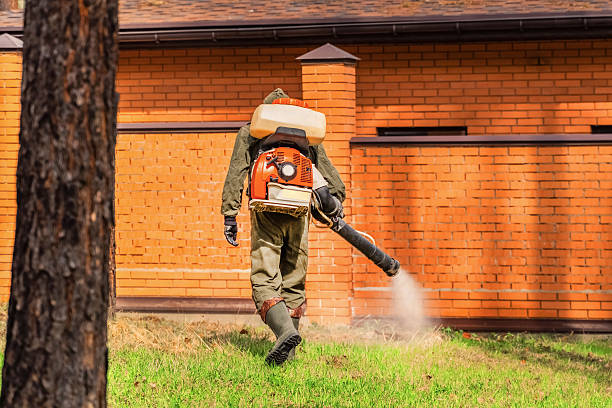 Trusted Termite Control service in Rossville, IL - Nex Pest Control